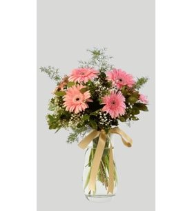 Pembe Düşler Gerbera Aranjmanı Paşabahçe Vazoda