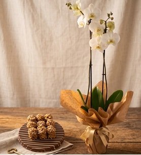 Beyaz Çiftli Orkide Pasta Temalı Fındıklı Kekler