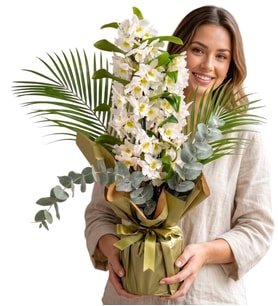 Premium Özel Tur Kokulu Dendrobium Orkide ve Egzotik Yeşillikler
