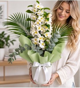 Beyaz Saksıda Buket Kağıtlı Dendrobium