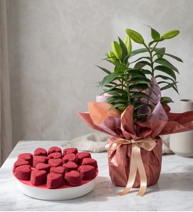 Buket Kağıtlı Lilyum ve Kırmızı Kalp Kekler