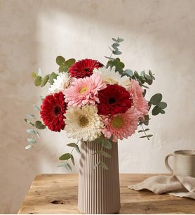 Bej Çizgili Polimer Vazoda Pembe Beyaz Kırmızı Gerbera