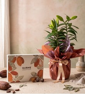 Buket Kağıdında Lilyum ve Kişiye Özel Truf Kekler