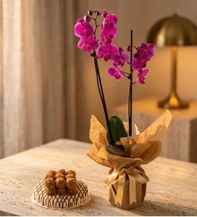 Mor Çiftli Orkide ve Pasta Temalı Lotus Biscoff lu Kekler