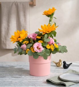 Pembe Saksıda Ayçiçeği Lisyantus ve Krizantemler