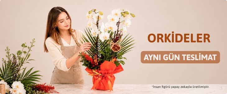 Kategori_orkideler