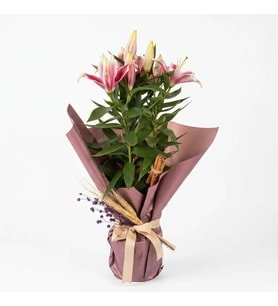 Kahve Buket Kağıtlı Saksıda Lilyum