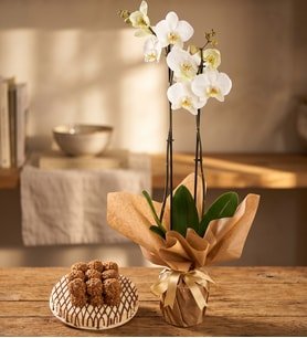 Beyaz Çiftli Orkide ve Pasta Temalı Lotus Biscoff lu Kekler