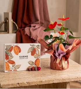 Buket Kağıtlı Pembe Antoryum ve Gurme Lezzetler