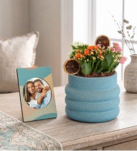 Katmanlı Beton Saksıda Kalanchoeler ve Stickerli Çerçeve