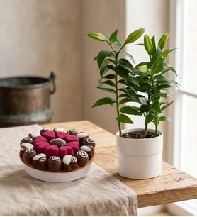 Saksı Lilyum ve Süslemeli Kalp Kekler