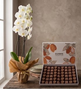 Saksıda Beyaz Orkide ve Palmiyeli Gurme Lezzetler