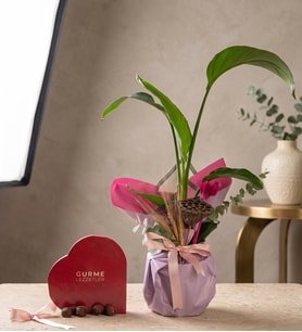 Lila Pembe Buket Kağıdında Starlice ve Gurme Lezzetler