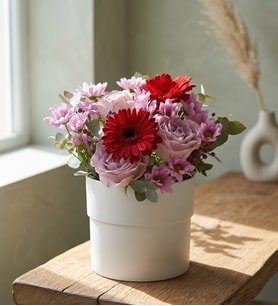 Beyaz Saksıda Papatya Gerbera ve Güller
