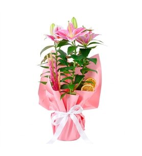 Pembe Kokulu Lilyum Çiçeği