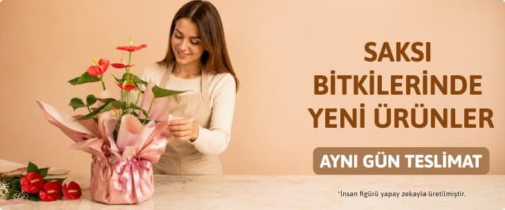 Kategori_saksı Bitkilerinde Yeni Ürünler
