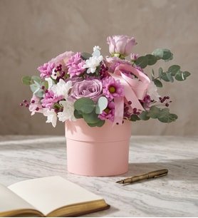 Pembe Saksıda Lila Gül Beyaz ve Pembe Papatyalar
