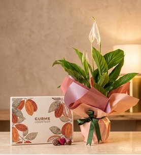 Buket Kağıtlı Spatifilyum ve Gurme Lezzetler