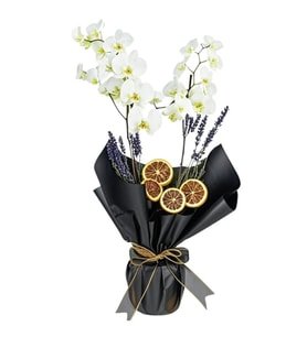 Black Buket Kağıtlı Çiftli Beyaz Orkide
