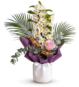 Beyaz Saksıda Mor Buketli Deluxe Dendrobium Orkide