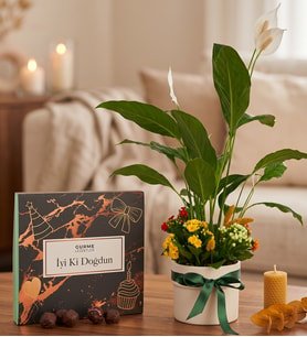 Saksıda Spatifilyum ve İyi Ki Doğdun Gurme Lezzetler