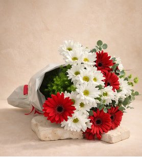 Beyaz Bukette Beyaz Papatya ve Kırmızı Gerbera