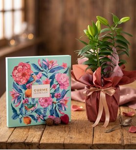 Buket Kağıtlı Saksı Lilyum ve Karma Gurme Lezzetler